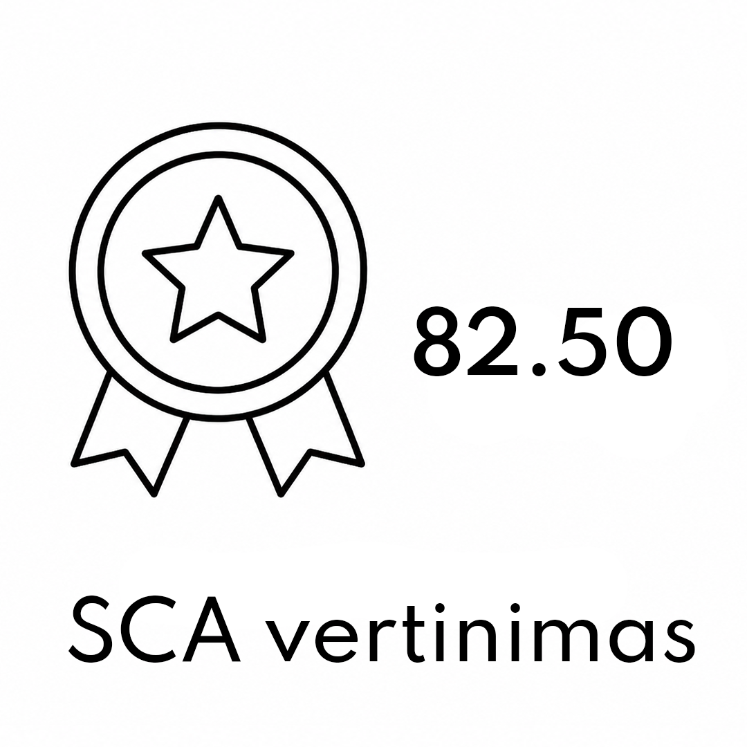 SCA vertinimas